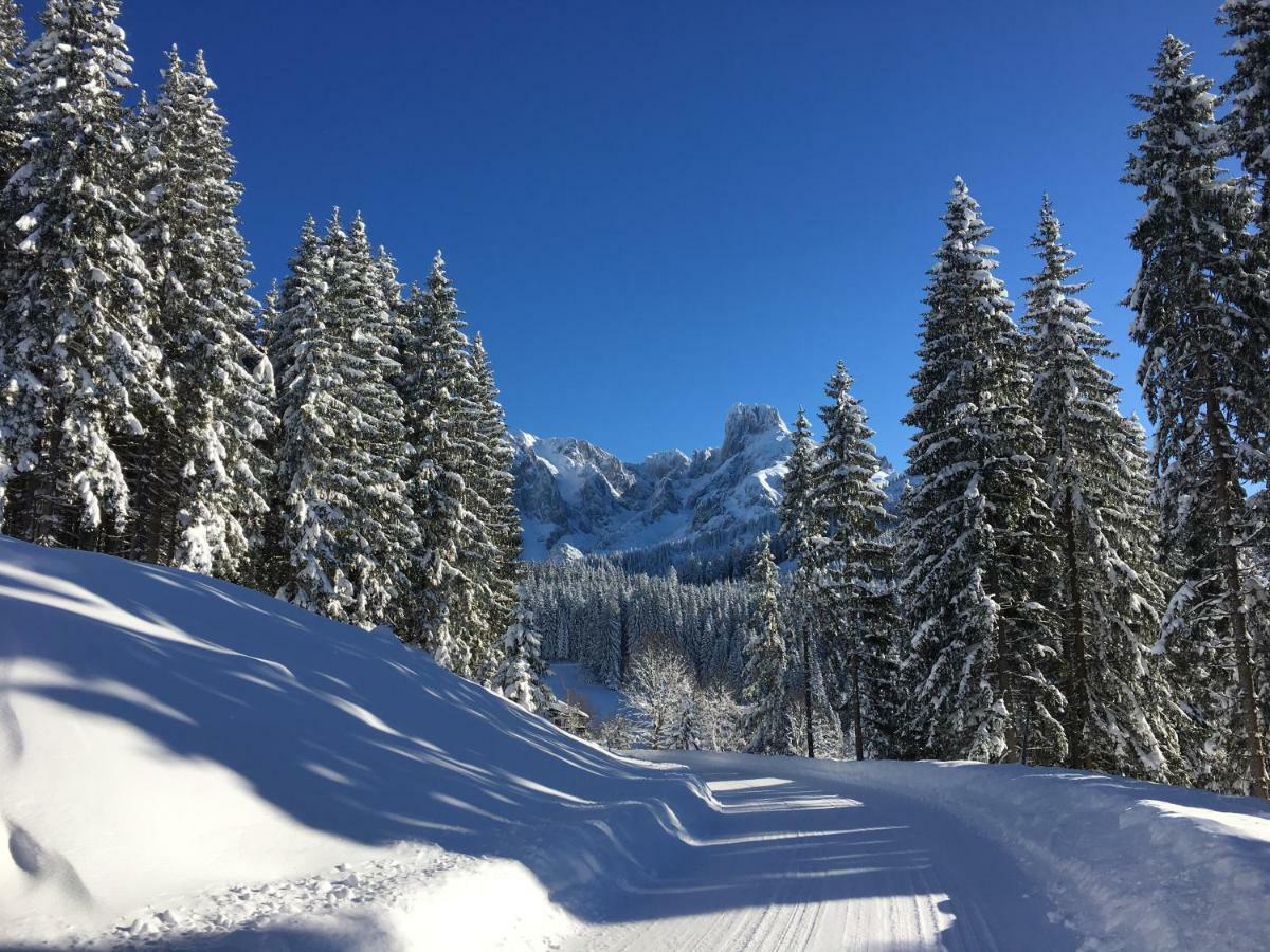 Apartment Kraemerhaus Annaberg, Dachstein West Luaran gambar