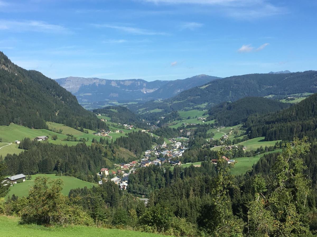 Apartment Kraemerhaus Annaberg, Dachstein West Luaran gambar